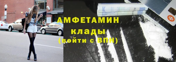 стафф Осинники
