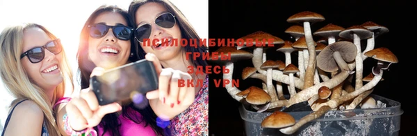 спайс Няндома
