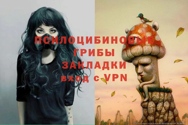 молекула духа Нязепетровск
