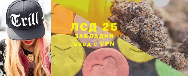 стафф Осинники